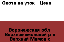 Охота на уток › Цена ­ 1 500 - Воронежская обл., Верхнемамонский р-н, Верхний Мамон с. Охота и рыбалка » Услуги   